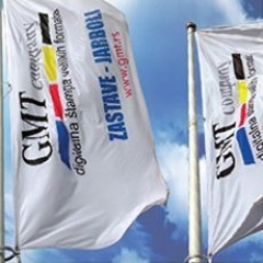 Business flags with a logo