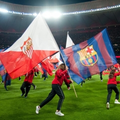 Supporters flags