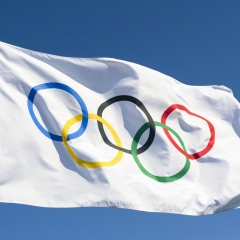 Flags of organizations 