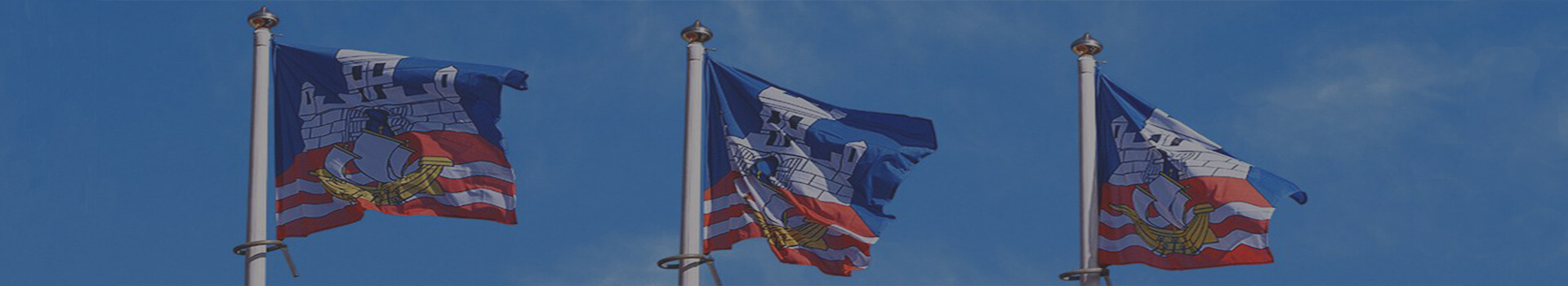 City and municipal flags